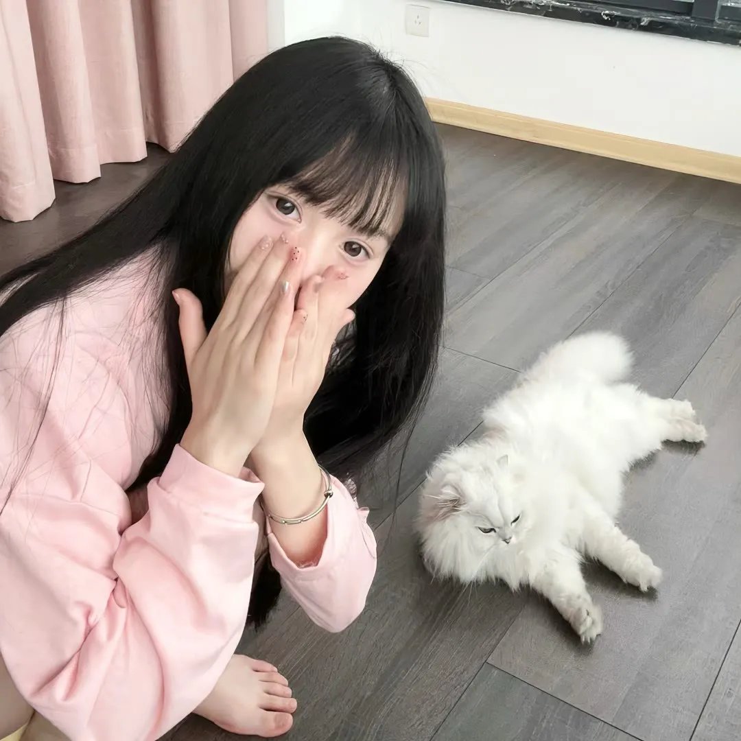 精灵鼠小弟2